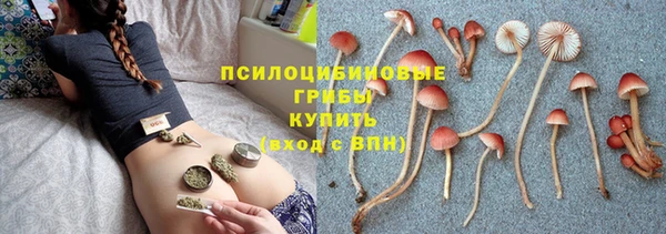 амф Армянск