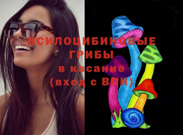 мет Аркадак