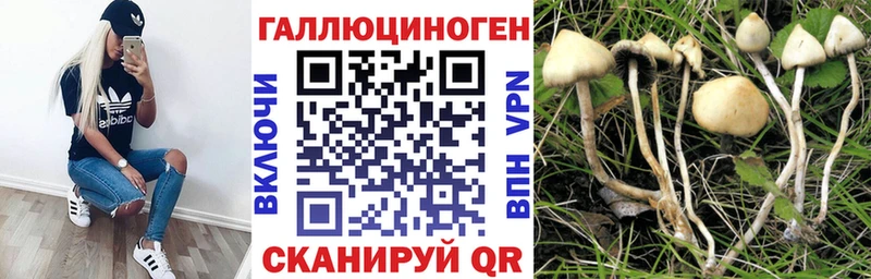 ссылка на мегу рабочий сайт  сколько стоит  Саяногорск  Галлюциногенные грибы мицелий 